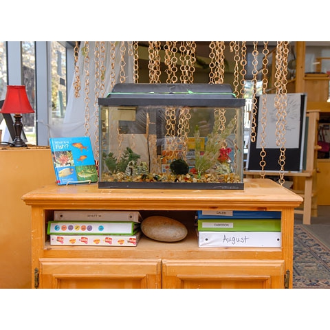Fish aquarium on cabinet with book about fish next to it