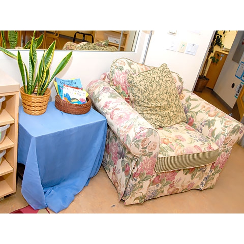 Cozy chair, plant and books displayed on table in welcome/sign in area