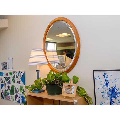 Aesthetic arrangement of paintings and mirror on wall, lamp, plant, and framed picture displayed of items on floor shelving