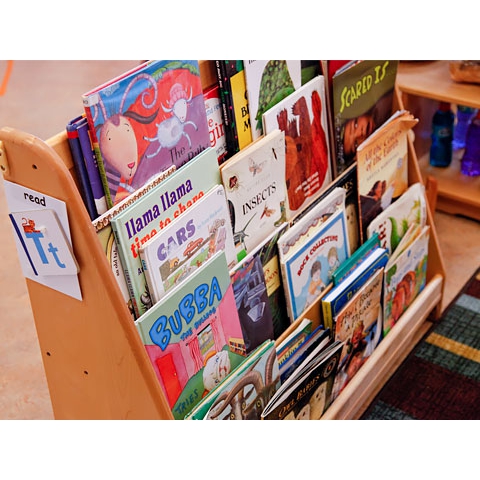 Books displayed in bookshelf