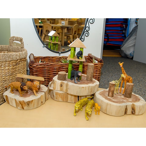 Toy animal display with natural materials