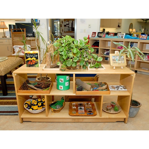 Science materials displayed on floor shelving